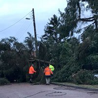 Avis de tempête sur Bois-le-Roi