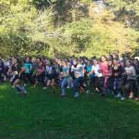 Cross UNSS du collège de Bois le Roi sur l'ile de loisirs Cross UNSS du collège de Bois le Roi sur l'ile de loisirs